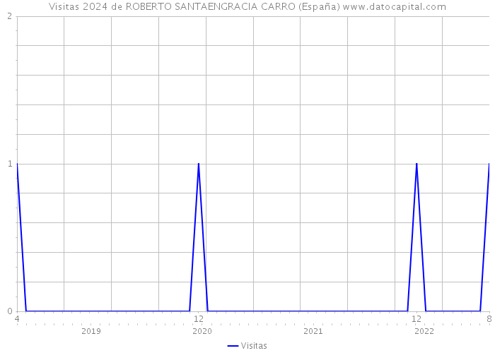 Visitas 2024 de ROBERTO SANTAENGRACIA CARRO (España) 