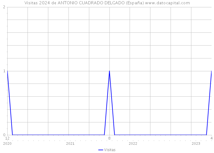 Visitas 2024 de ANTONIO CUADRADO DELGADO (España) 