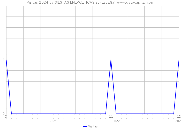 Visitas 2024 de SIESTAS ENERGETICAS SL (España) 