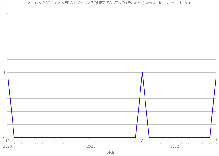 Visitas 2024 de VERONICA VAZQUEZ FONTAO (España) 