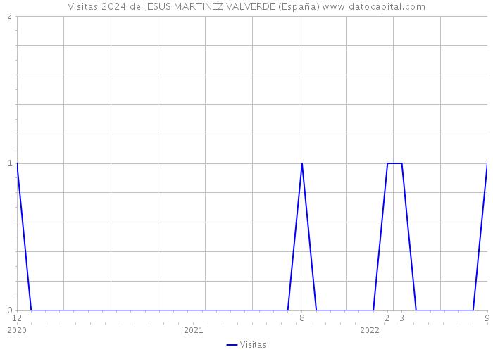 Visitas 2024 de JESUS MARTINEZ VALVERDE (España) 