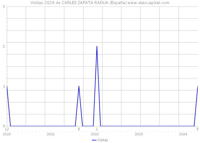 Visitas 2024 de CARLES ZAPATA RADUA (España) 