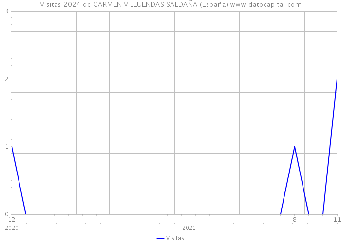 Visitas 2024 de CARMEN VILLUENDAS SALDAÑA (España) 