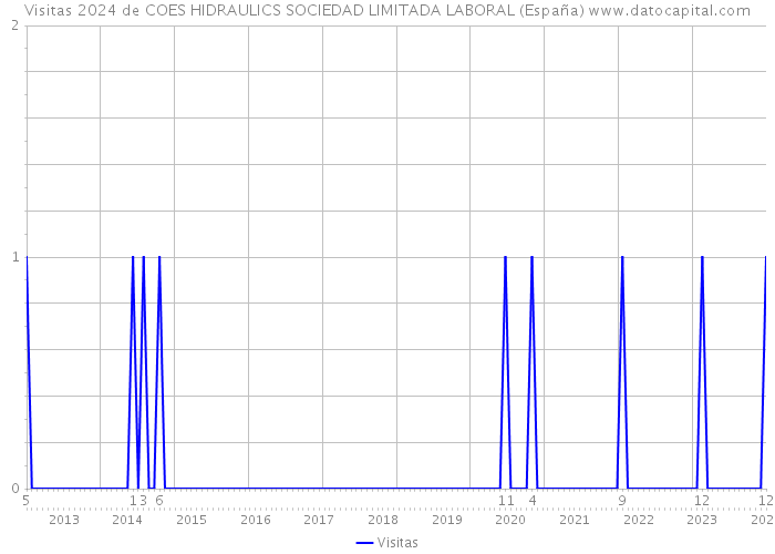 Visitas 2024 de COES HIDRAULICS SOCIEDAD LIMITADA LABORAL (España) 