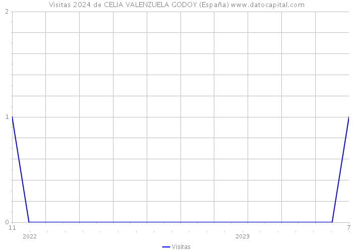 Visitas 2024 de CELIA VALENZUELA GODOY (España) 
