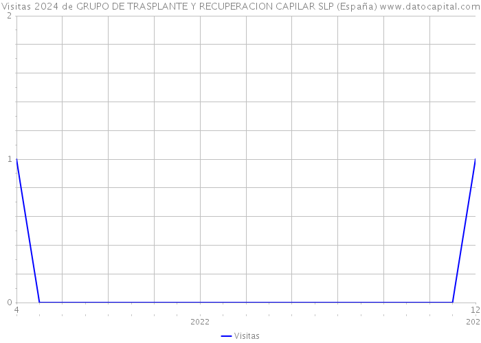 Visitas 2024 de GRUPO DE TRASPLANTE Y RECUPERACION CAPILAR SLP (España) 