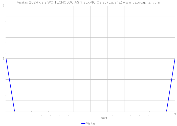 Visitas 2024 de ZIWO TECNOLOGIAS Y SERVICIOS SL (España) 