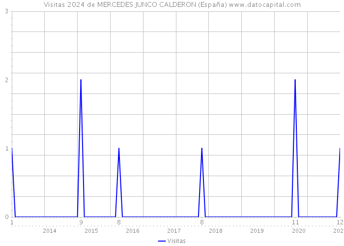 Visitas 2024 de MERCEDES JUNCO CALDERON (España) 