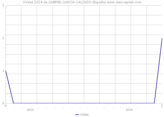 Visitas 2024 de GABRIEL GARCIA CALZADO (España) 