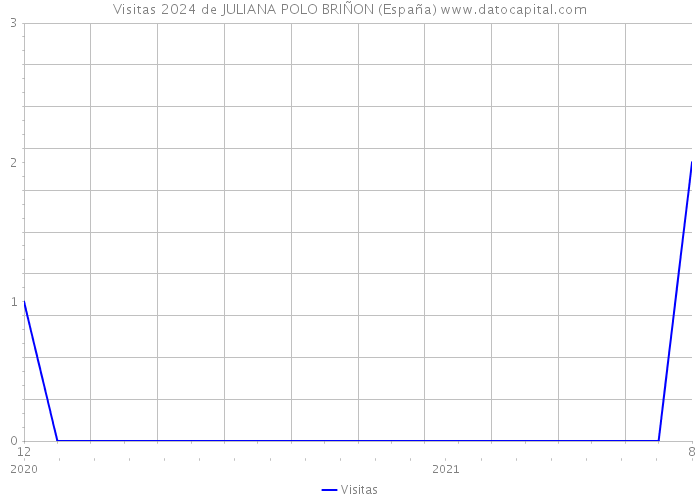 Visitas 2024 de JULIANA POLO BRIÑON (España) 