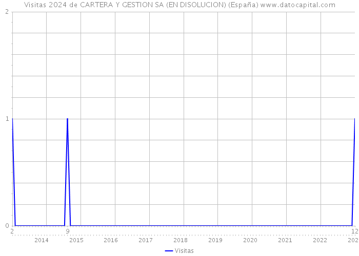 Visitas 2024 de CARTERA Y GESTION SA (EN DISOLUCION) (España) 