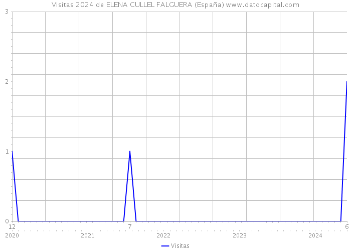 Visitas 2024 de ELENA CULLEL FALGUERA (España) 