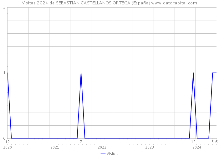 Visitas 2024 de SEBASTIAN CASTELLANOS ORTEGA (España) 