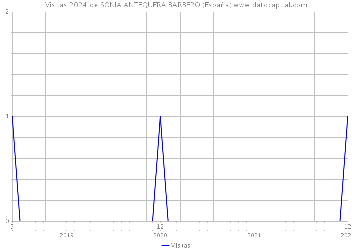 Visitas 2024 de SONIA ANTEQUERA BARBERO (España) 