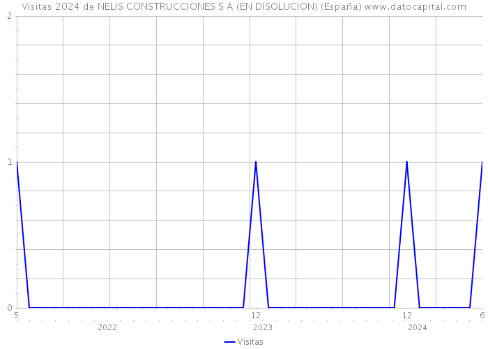 Visitas 2024 de NELIS CONSTRUCCIONES S A (EN DISOLUCION) (España) 