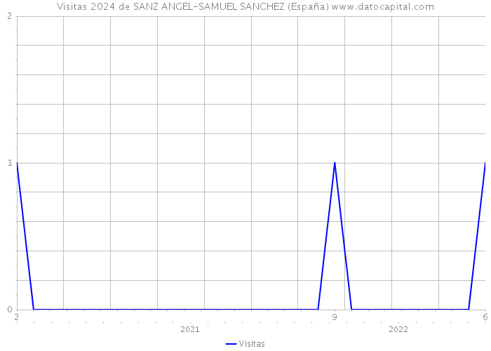 Visitas 2024 de SANZ ANGEL-SAMUEL SANCHEZ (España) 