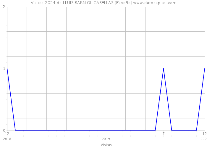 Visitas 2024 de LLUIS BARNIOL CASELLAS (España) 