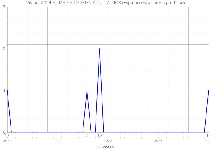 Visitas 2024 de MARIA CARMEN BONILLA RIOS (España) 