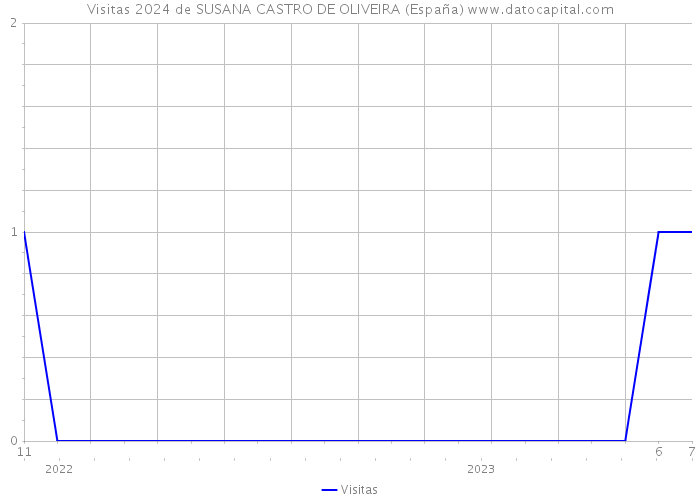 Visitas 2024 de SUSANA CASTRO DE OLIVEIRA (España) 