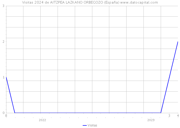 Visitas 2024 de AITZPEA LAZKANO ORBEGOZO (España) 