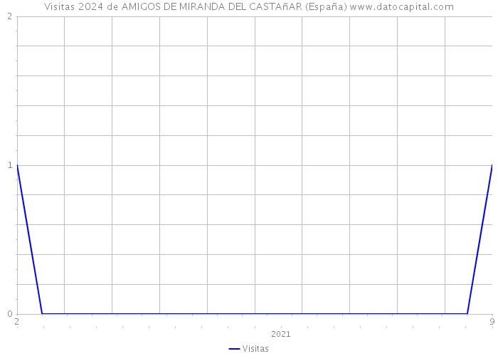 Visitas 2024 de AMIGOS DE MIRANDA DEL CASTAñAR (España) 