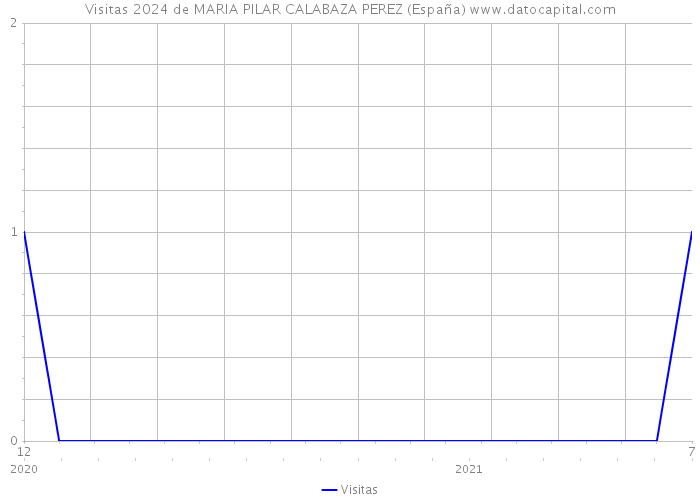 Visitas 2024 de MARIA PILAR CALABAZA PEREZ (España) 