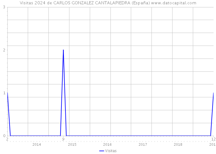 Visitas 2024 de CARLOS GONZALEZ CANTALAPIEDRA (España) 