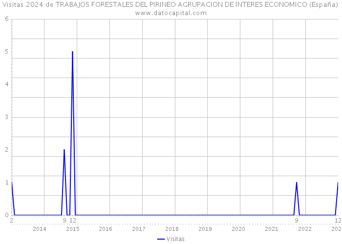 Visitas 2024 de TRABAJOS FORESTALES DEL PIRINEO AGRUPACION DE INTERES ECONOMICO (España) 