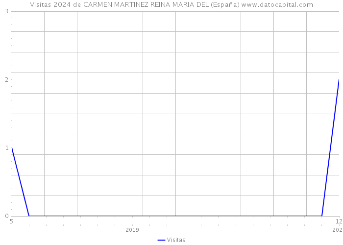 Visitas 2024 de CARMEN MARTINEZ REINA MARIA DEL (España) 