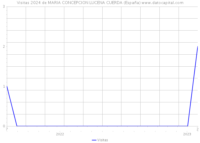 Visitas 2024 de MARIA CONCEPCION LUCENA CUERDA (España) 