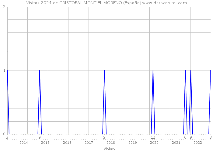 Visitas 2024 de CRISTOBAL MONTIEL MORENO (España) 