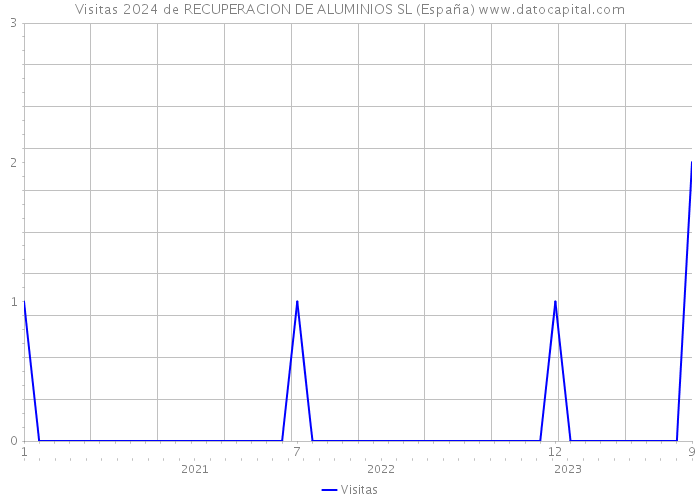 Visitas 2024 de RECUPERACION DE ALUMINIOS SL (España) 