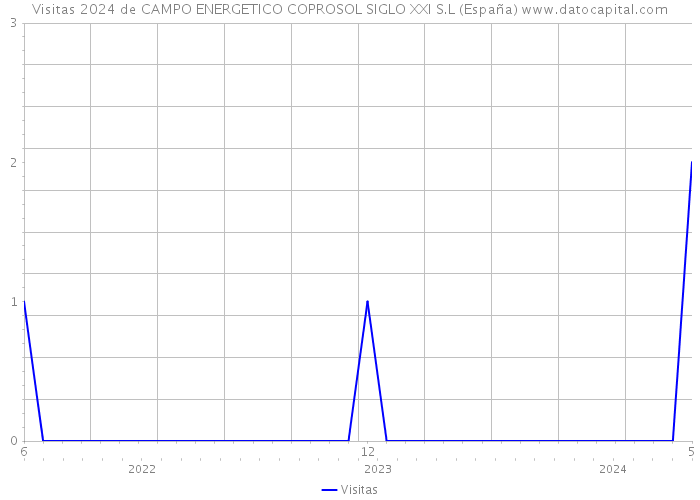 Visitas 2024 de CAMPO ENERGETICO COPROSOL SIGLO XXI S.L (España) 