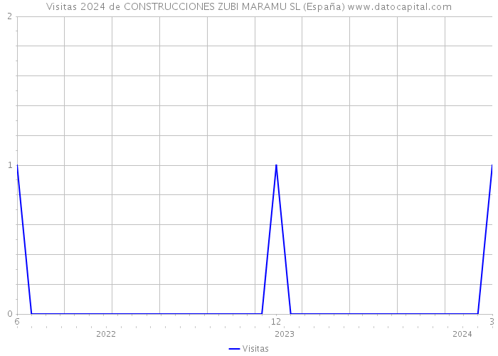 Visitas 2024 de CONSTRUCCIONES ZUBI MARAMU SL (España) 