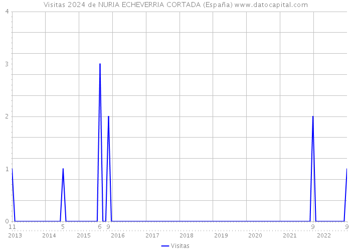 Visitas 2024 de NURIA ECHEVERRIA CORTADA (España) 
