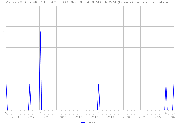 Visitas 2024 de VICENTE CAMPILLO CORREDURIA DE SEGUROS SL (España) 