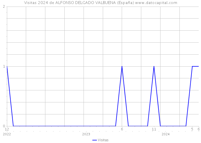 Visitas 2024 de ALFONSO DELGADO VALBUENA (España) 
