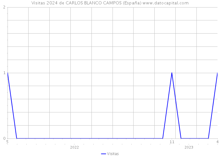 Visitas 2024 de CARLOS BLANCO CAMPOS (España) 