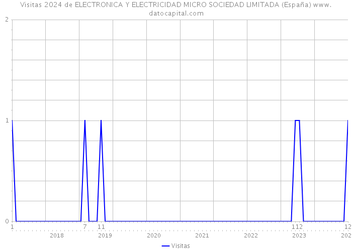 Visitas 2024 de ELECTRONICA Y ELECTRICIDAD MICRO SOCIEDAD LIMITADA (España) 