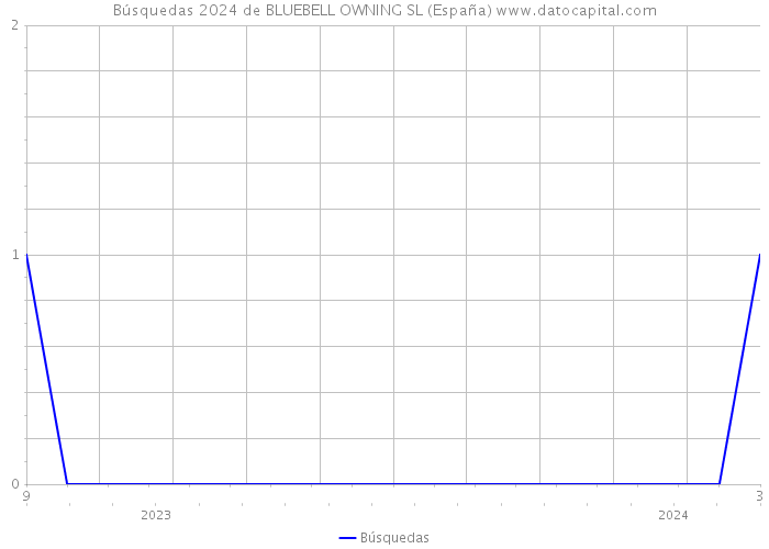 Búsquedas 2024 de BLUEBELL OWNING SL (España) 