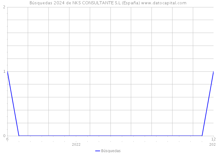 Búsquedas 2024 de NKS CONSULTANTE S.L (España) 