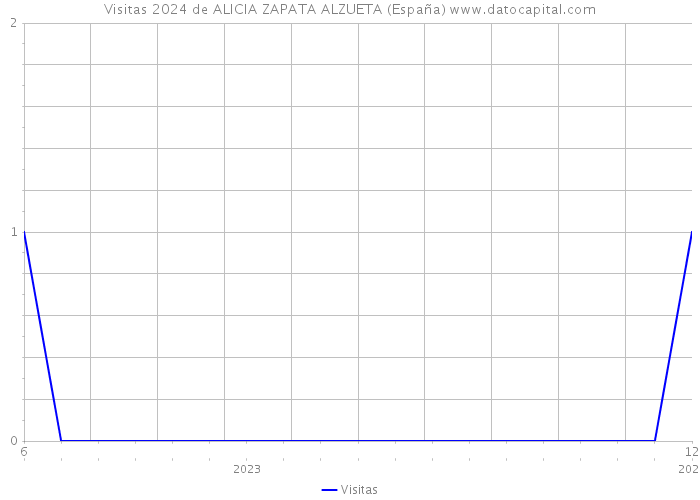 Visitas 2024 de ALICIA ZAPATA ALZUETA (España) 