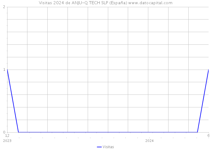 Visitas 2024 de ANJU-Q TECH SLP (España) 