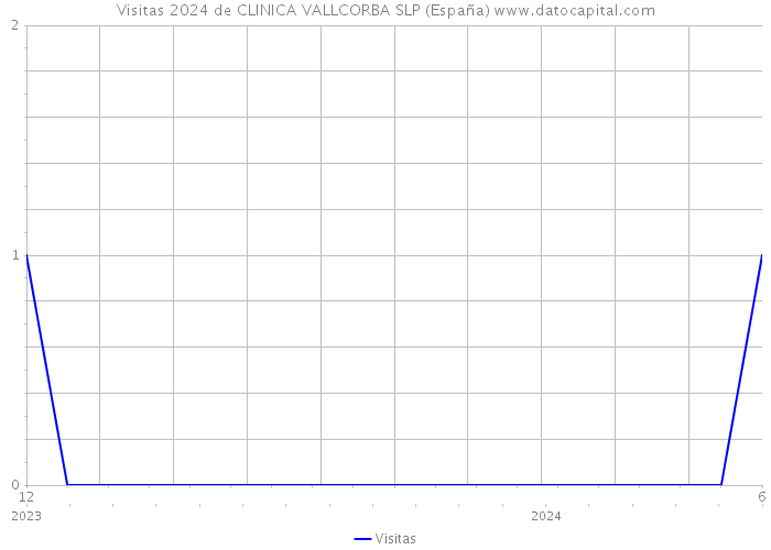 Visitas 2024 de CLINICA VALLCORBA SLP (España) 