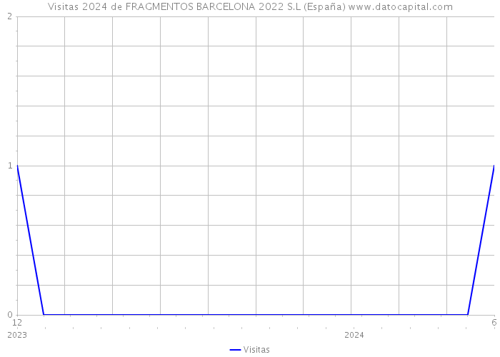 Visitas 2024 de FRAGMENTOS BARCELONA 2022 S.L (España) 