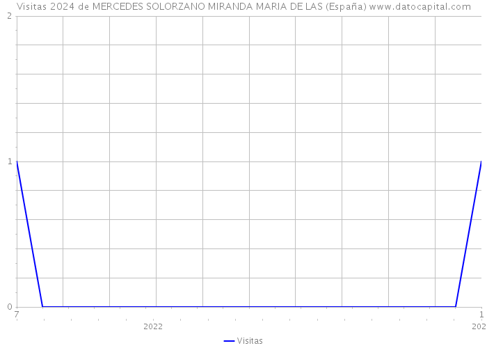 Visitas 2024 de MERCEDES SOLORZANO MIRANDA MARIA DE LAS (España) 