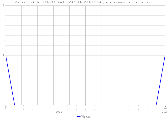 Visitas 2024 de TECNOLOGIA DE MANTENIMIENTO SA (España) 