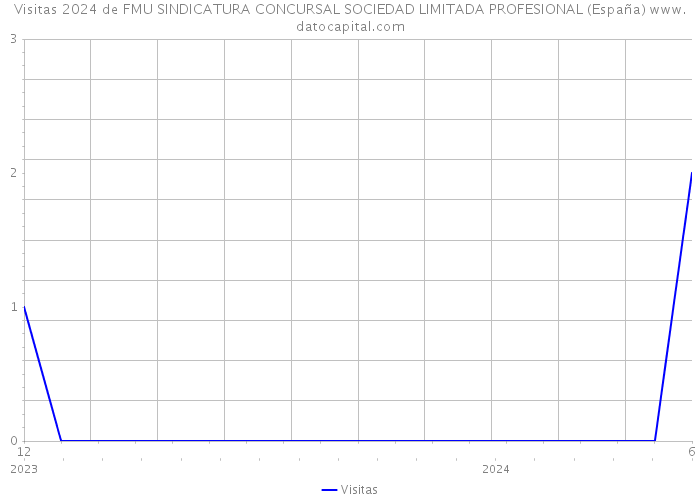 Visitas 2024 de FMU SINDICATURA CONCURSAL SOCIEDAD LIMITADA PROFESIONAL (España) 
