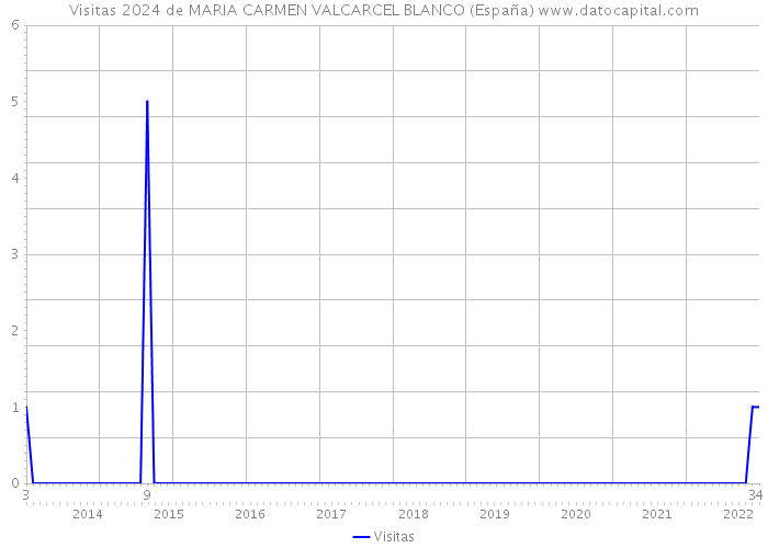 Visitas 2024 de MARIA CARMEN VALCARCEL BLANCO (España) 