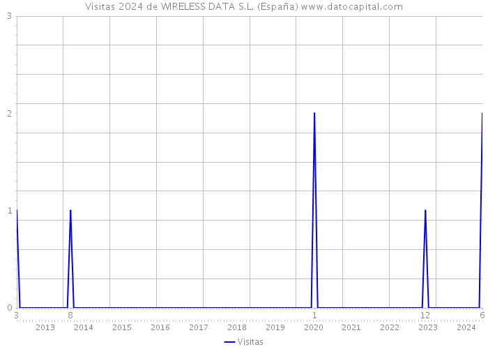 Visitas 2024 de WIRELESS DATA S.L. (España) 
